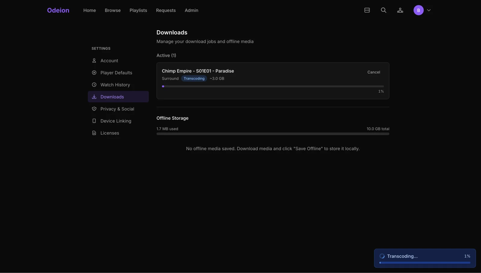 Offline Downloads